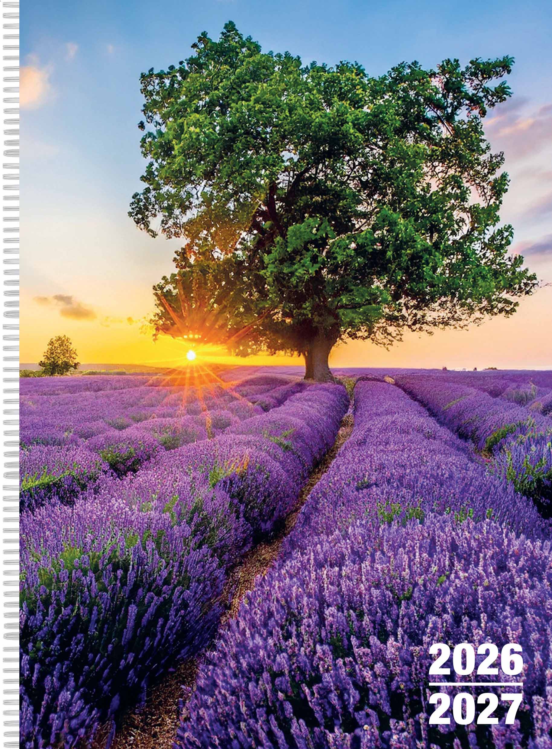 Lehrerkalender Kompaktplaner  Ausgabe 2026/2027