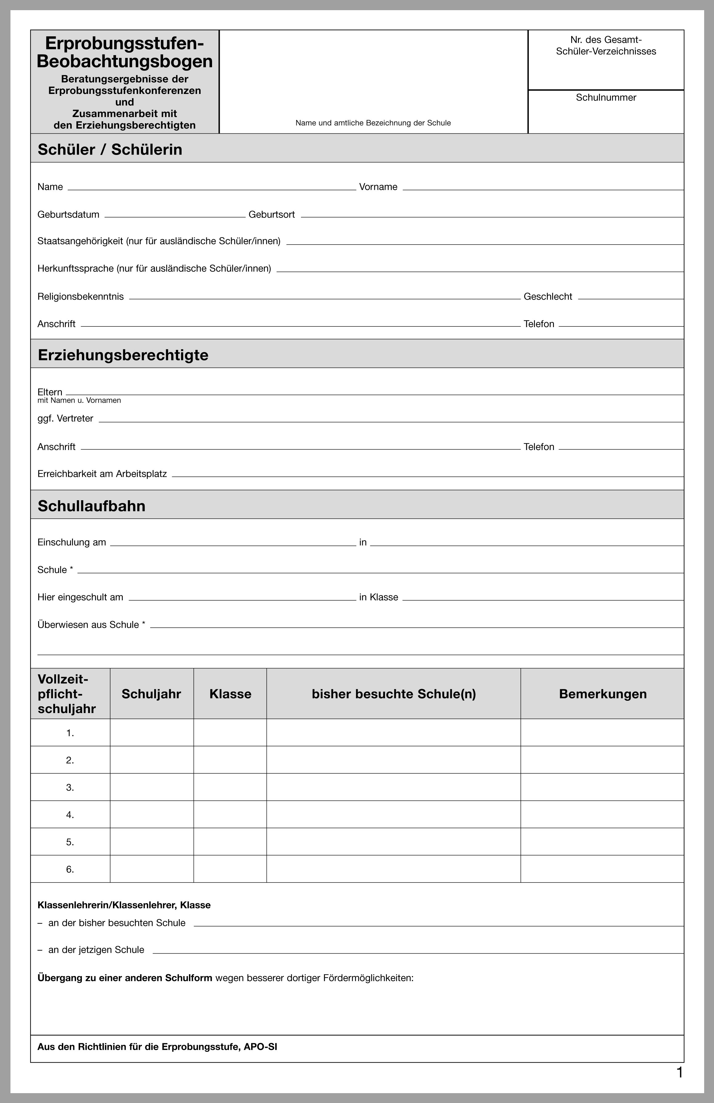 Erprobungsstufen Beobachtungsbogen