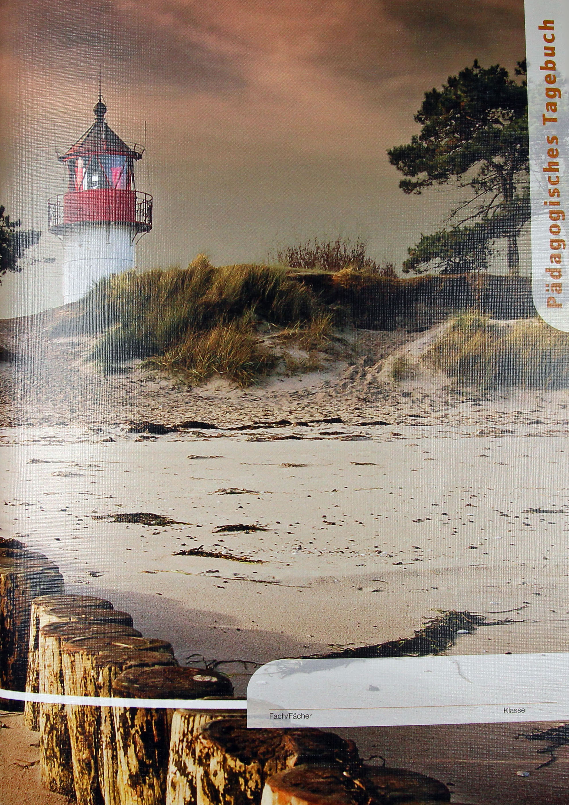 Pädagogisches Tagebuch