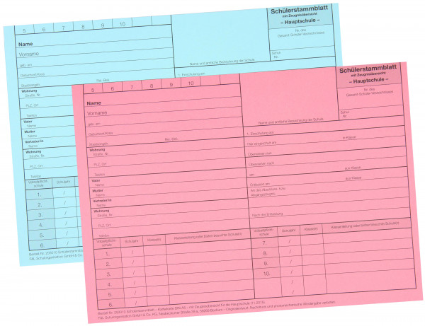 Schülerkarteikarte Hauptschule