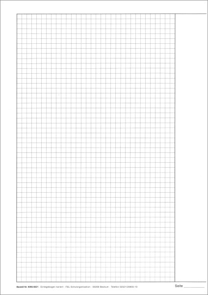 Klausurbogen Einlegebogen, kariert