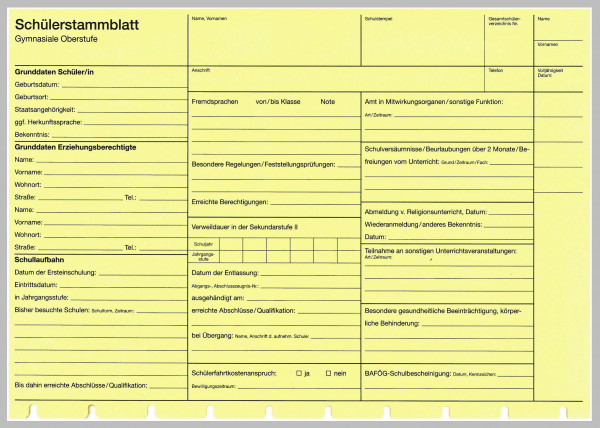 Schülerstammblatt Sek II Sichtkarteikarte